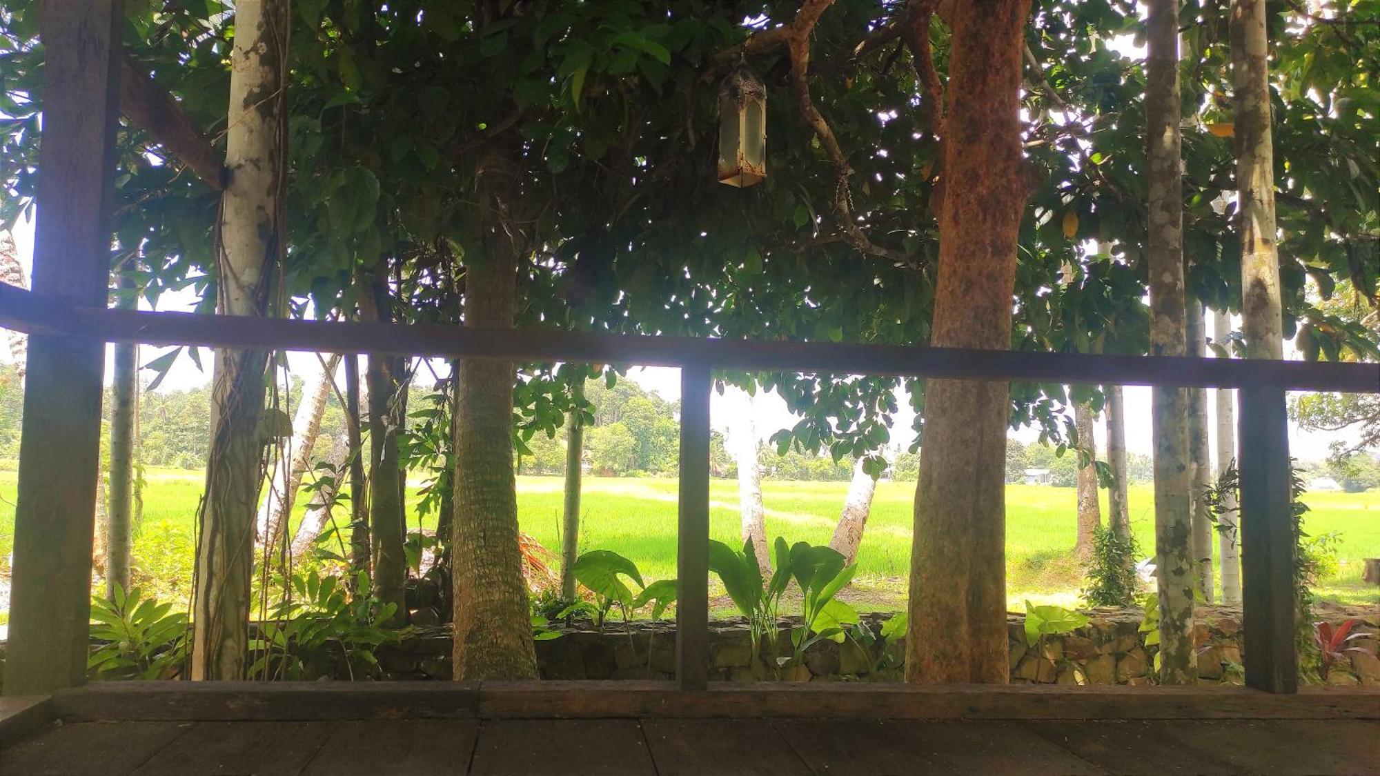 S'Ekar Pinang Langkawi Bed & Breakfast ปันไตเจอนัง ภายนอก รูปภาพ