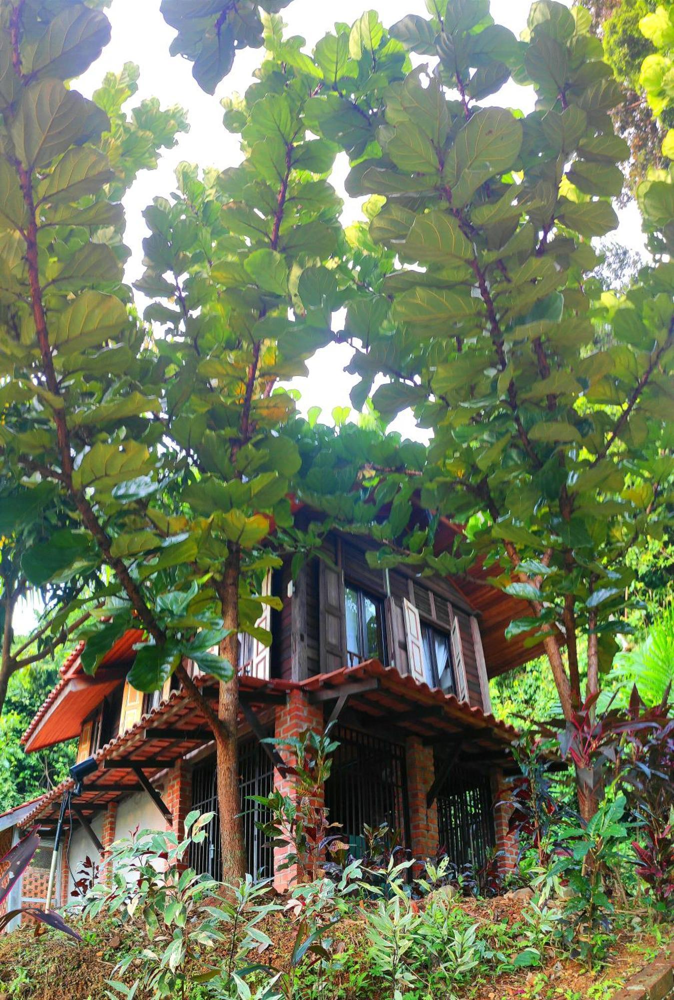 S'Ekar Pinang Langkawi Bed & Breakfast ปันไตเจอนัง ภายนอก รูปภาพ