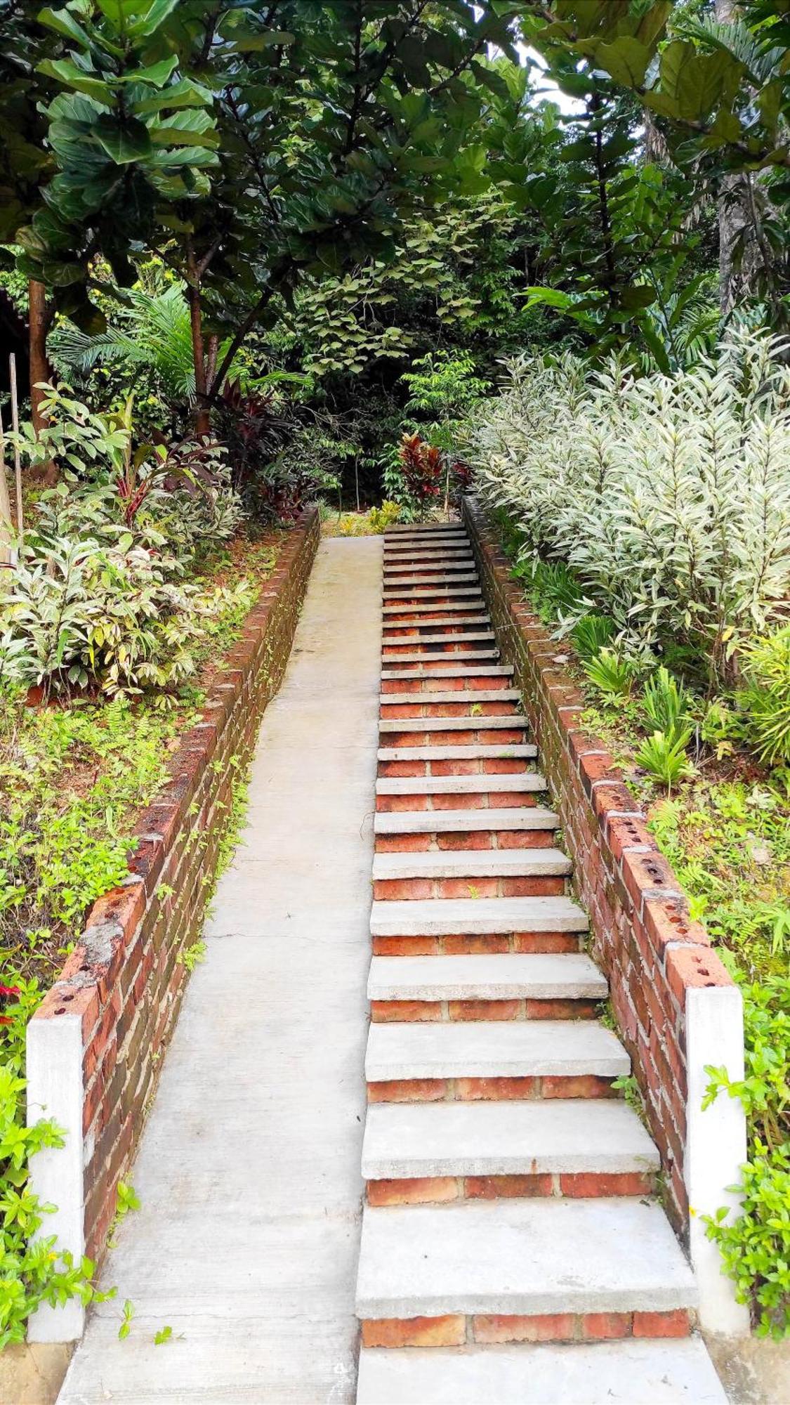 S'Ekar Pinang Langkawi Bed & Breakfast ปันไตเจอนัง ภายนอก รูปภาพ