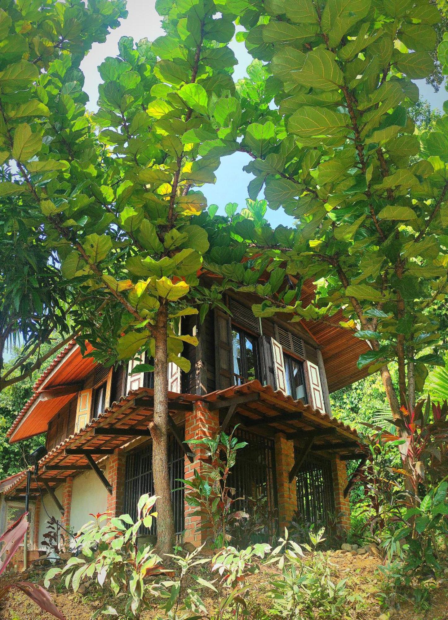 S'Ekar Pinang Langkawi Bed & Breakfast ปันไตเจอนัง ภายนอก รูปภาพ